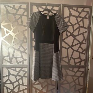 Black and Gray Fit and Flare Mini Dress